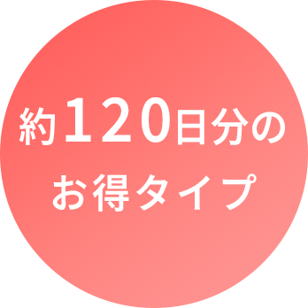 約120日分のお得タイプ