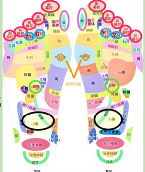 花粉症対策