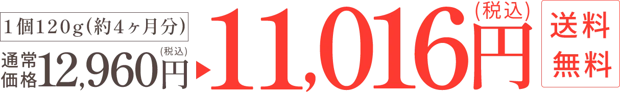 通常価格12,960円（税込）→ 11,016円（税込）・送料無料